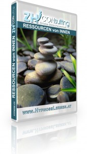 Ressourcen von Innen Buch Ressourcen von Innen (Stefan Strobl)