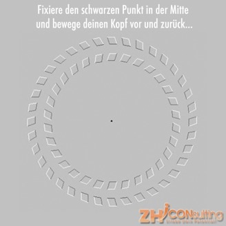 Optische Täuschung: Wahrnehmungsgrenzen testen. Illusion mit bewegenden Ringen. ZHI Coachingbrief.