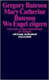 Titel: Wo Engel zögern
Untertitel: Unterwegs zu einer Epistemologie des Heiligen